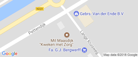 Google Maps